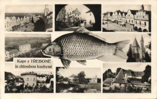 Trebon, fish, Rössl Hotel