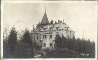 Wierbka Moes Palace photo (EK)