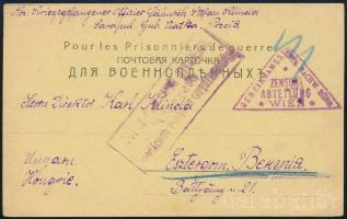 1917 Hadifogoly levelezőlap Szarapulból Esztergomba / POW postcard from Sarapul to Hungary (Esztergom)
