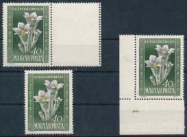 1950 Virág 40f jobb oldali üres mezővel + 2 db érdekesség