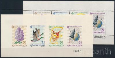 1964 Bélyegnap Monográfia blokkpár, az utolsó két számjegy megegyezik, az egyik kicsi