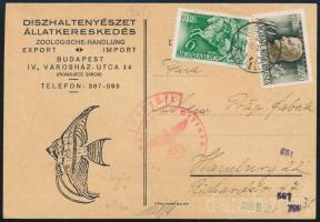 1940 Díszhaltenyészet Állatkereskedés reklámlapja 16f bérmentesítéssel Hamburgba küldve, cenzúrázva