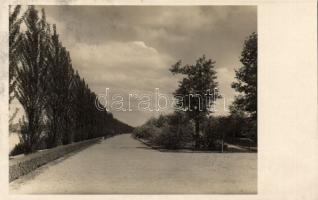 Budapest XIII. Margitszigeti park photo