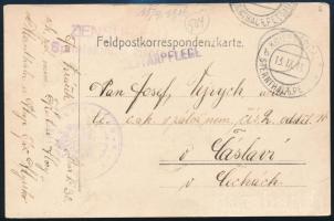 1916 Tábori posta levelezőlap / Field postcard "KRIEGSSPITAL STERNTHAL b. PETTAU"