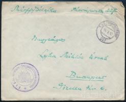 1917 Tábori posta levél / Field post cover "K.u.k. Infanterie-Truppendivisionskommando" - "FP 227"