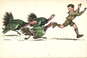 Scout Turkey s: Márton L. (EK)