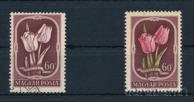 1951 Virág II. 60f rózsaszín és zöld színnyomat nélkül + támpéldány