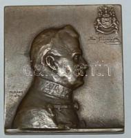 1909. Murányi: Báró Fejérváry Géza Br. plakett / 55x51mm