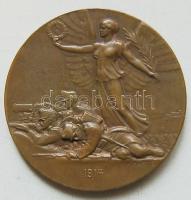 1914. R. Neuberger - A. Hartig: I. világháborús Ferenc József érem Br. / 50mm