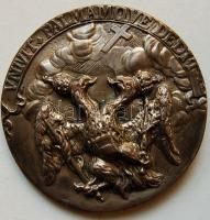 XVII.sz. vége - A török elleni szövetség emlékérme, későbbi galvánó másolat / 78mm