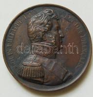 1830. Lajos Fülöp Br emlékérem / 51mm