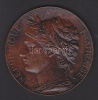 1878. Chaplain: Világkiállítás díjérme Br / 68mm