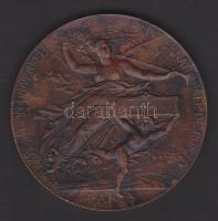 1878. Chaplain: Világkiállítás díjérme Br / 68mm