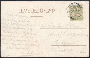 1909 Képeslap Turul 5f bérmentesítéssel "DOBSINA - BÁNRÉVE" mozgóposta bélyegzéssel