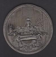 1750. Müller: Mauritio német hadvezér emlékérem ónból / 55mm