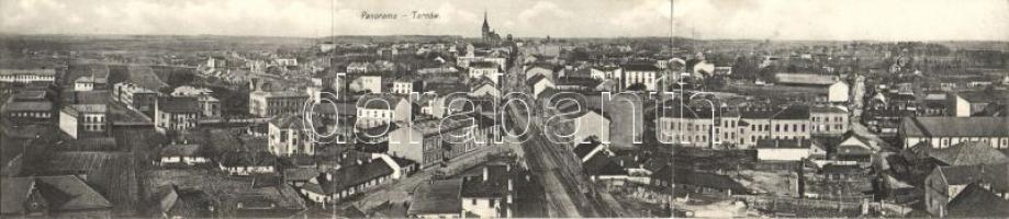 Tarnów with synagogue panoramacard