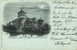 Stuttgart castle at night (EK)