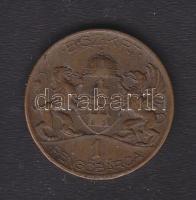 DN. BSZKRT 1P peronjegy bárca T:2