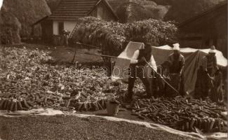 Hungarian peasants photo (EM)