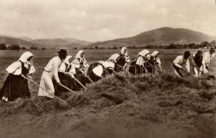 Hungarian peasants hay making photo