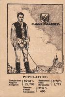 Marosvásárhely irredenta