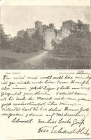 Frankenstein (Zabkowice Slaskie) castle (EK)