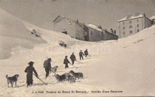 Great St Bernard Pass tourist house