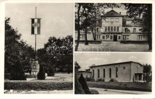 Balatonfűzfő-gyártelep Hangyával