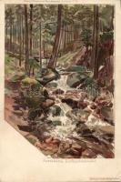 Flinsberg river litho (EK)