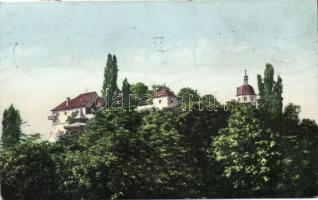 Graz castle