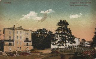 Szliács Hotel Hungária and Buda (b)