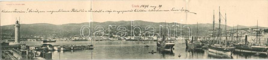 1898 Trieste docks panoramacard