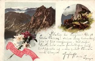 1898 Mount Pilatus, Gruss vom Pilatus, floral