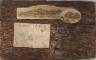 1899 Budapest Holz