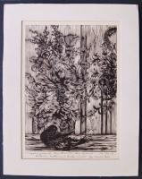 Gy. Szabó Béla (1905-1985): Virágok és galamb, fametszet-papír, kézi levonat a művész saját kezű dedikálásával paszpartuban 32x40 cm