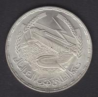 Egyiptom 1387-1968 1Ł Ag T:2