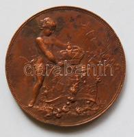 Románia 1892.12.29-1892.01.10. Mária hercegnő és Ferdinánd herceg házasságának emléket állító Br eml...