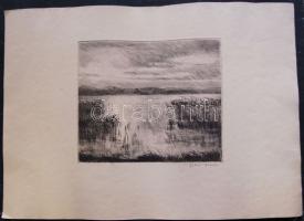Fehér Ilona, Iván Szilárdné (1913-1983): Nádas, rézkarc, jelzett 50x40cm