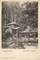 Bártfafürdő Sulphurous fountain