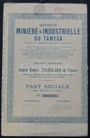 Tamega 1913. Bányászati és Ipari részvény