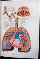 A Család tanácsadója 460 fekete képpel, 32 színes táblával, 24 egyszínű táblával, Dante könyvkiadó, ...