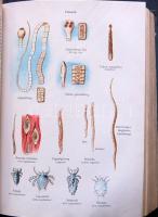 A Család tanácsadója 460 fekete képpel, 32 színes táblával, 24 egyszínű táblával, Dante könyvkiadó, ...