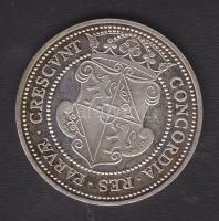 Hollandia 1979. Utrecht egyesesülésének 400. éves évfordulója Ag emlékérem T:PP