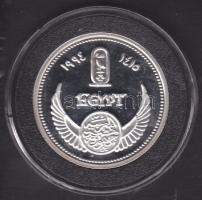 Egyiptom 1994. "Chnemtamun vitorlás" Ag emlékérem T:PP / 22,5g