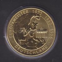 Németország 2008. "Labdarúgó Európa Bajnokság - Ausztria-Svájc" emlékérem T:BU