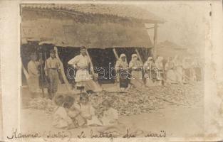 Kanina corn threshing photo