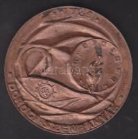 Dorog 1982. Kutatási és Bányaépítési Üzem Br emlékplakett T:2 / 60mm