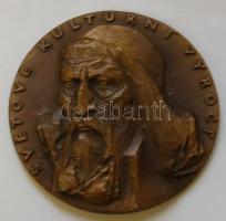 Csehország 1970. Kulturális világ Br emlékplakett J.A. Comenius arcképével T:2 / 70mm