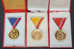 DN "Honvédelmi Érdemérem-10,15,20 éves" 3 db kitüntetés, szalaggal T:1/2 Díszdobozban!