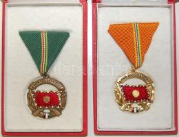 A Haza Szolgálatáért Érdemérem arany és bronz fokozata, szalaggal T:1/2 Eredeti díszdobozban!